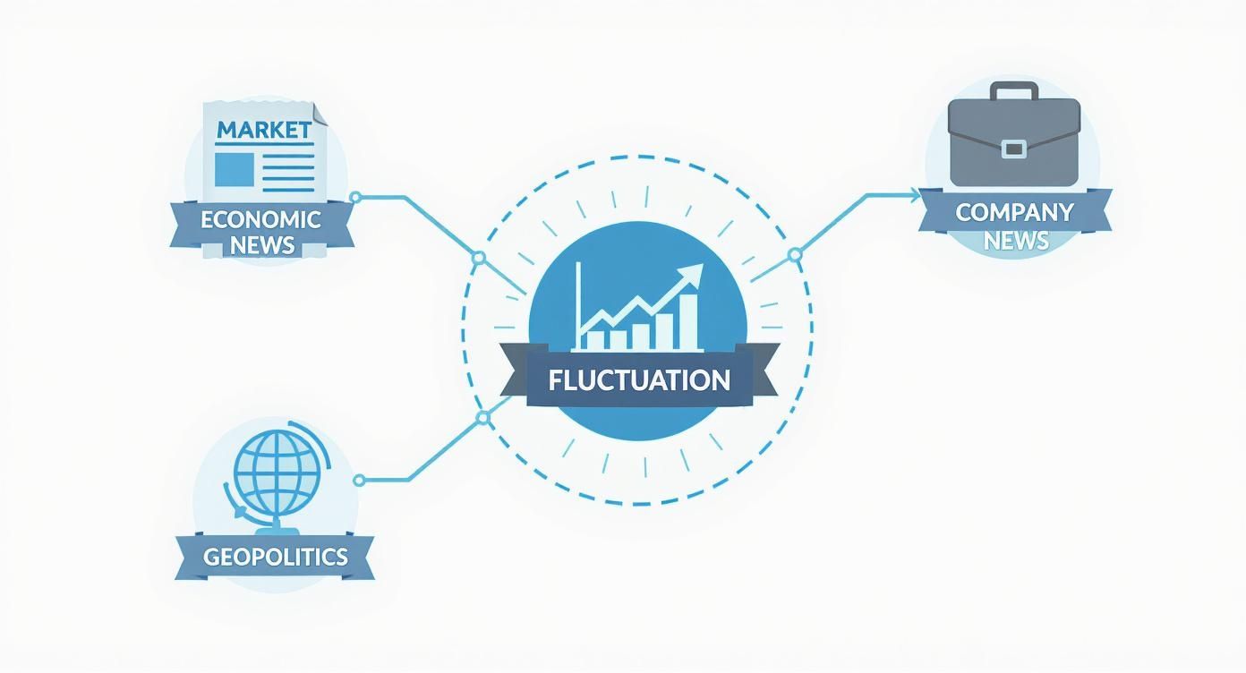 Infographic about what is market volatility